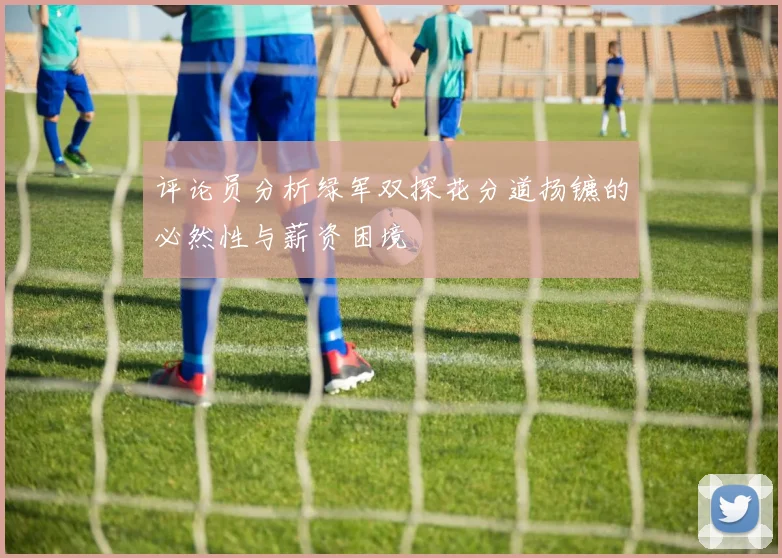评论员分析绿军双探花分道扬镳的必然性与薪资困境